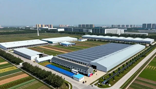 活动策划选型中的关键考量要素与实战建议